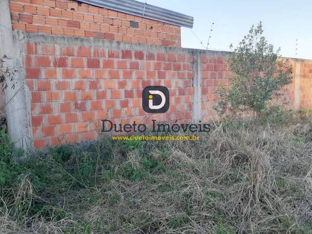 #100925 - Terreno para Venda em Santa Maria - RS - 3