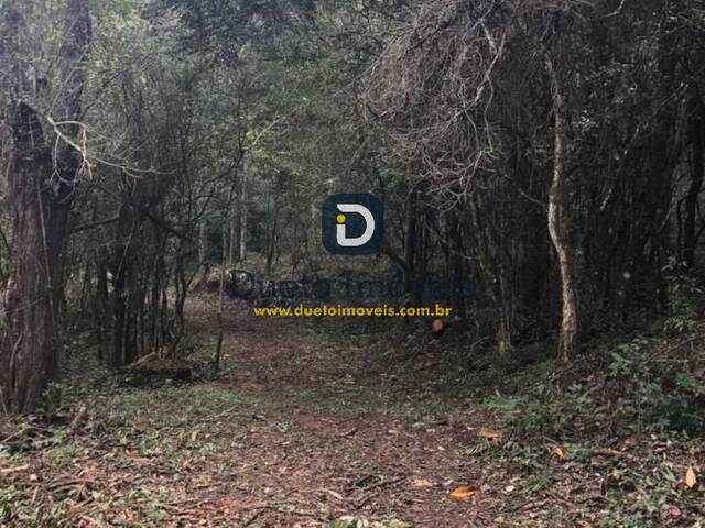 Chácara para Venda em Santa Maria - 4