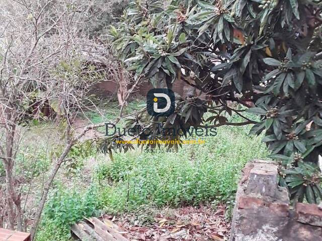 Casa para Venda em Santa Maria - 4