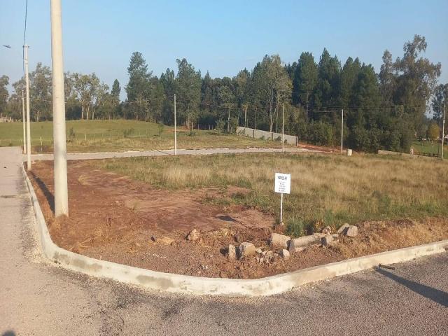 Área para Venda em Santa Maria - 4