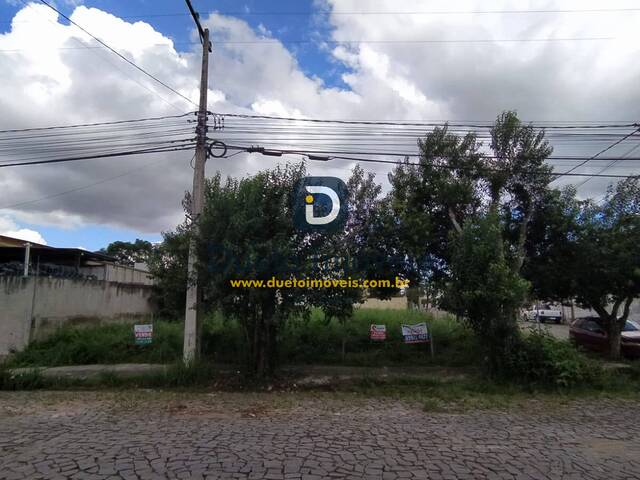 Terreno para Venda em Santa Maria - 5