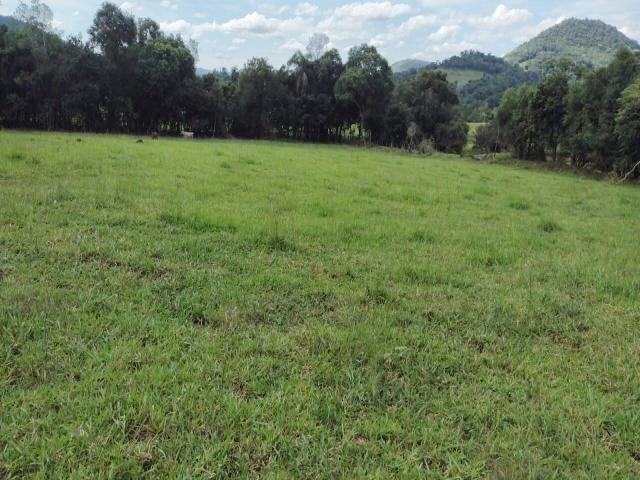 #1479 - Chácara para Venda em Toropi - RS - 1