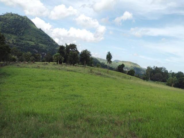 #1479 - Chácara para Venda em Toropi - RS - 2