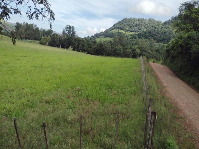 #1479 - Chácara para Venda em Toropi - RS - 3