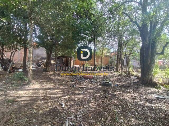 Área para Venda em Santa Maria - 4