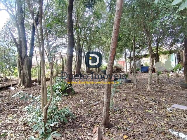 Área para Venda em Santa Maria - 5