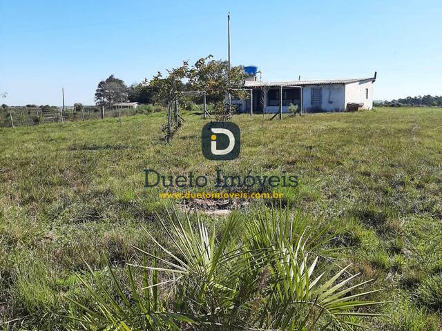 #1644 - Chácara para Venda em Santa Maria - RS - 3