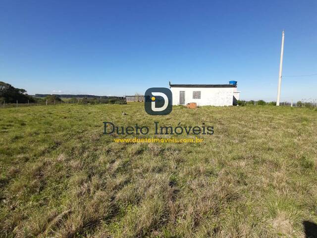 #1644 - Chácara para Venda em Santa Maria - RS - 2