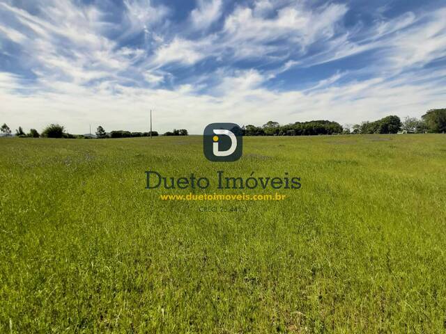 #1649 - Chácara para Venda em Santa Maria - RS - 3