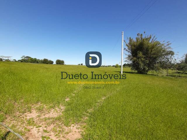 #1649 - Chácara para Venda em Santa Maria - RS - 1