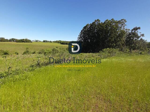 Chácara para Venda em Santa Maria - 4