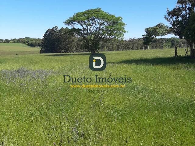 Chácara para Venda em Santa Maria - 5