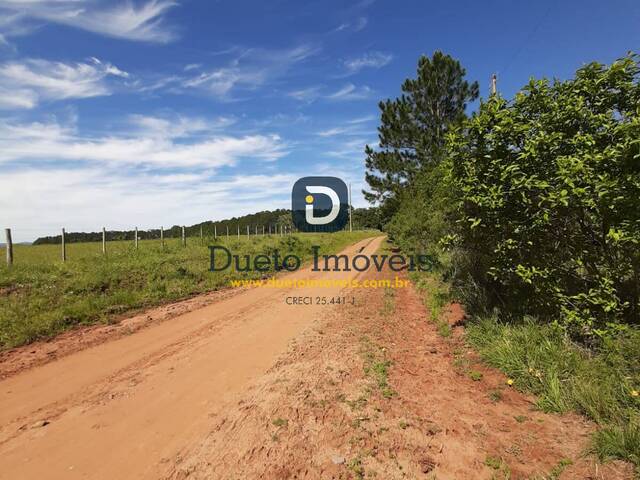 #1649 - Chácara para Venda em Santa Maria - RS - 2