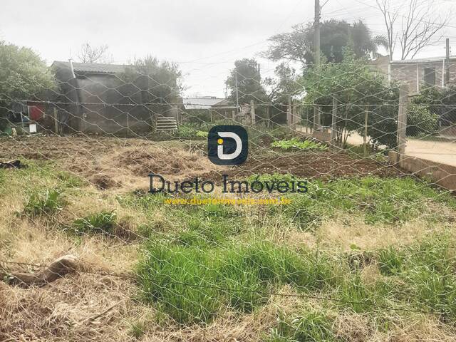 Área para Venda em Santa Maria - 4