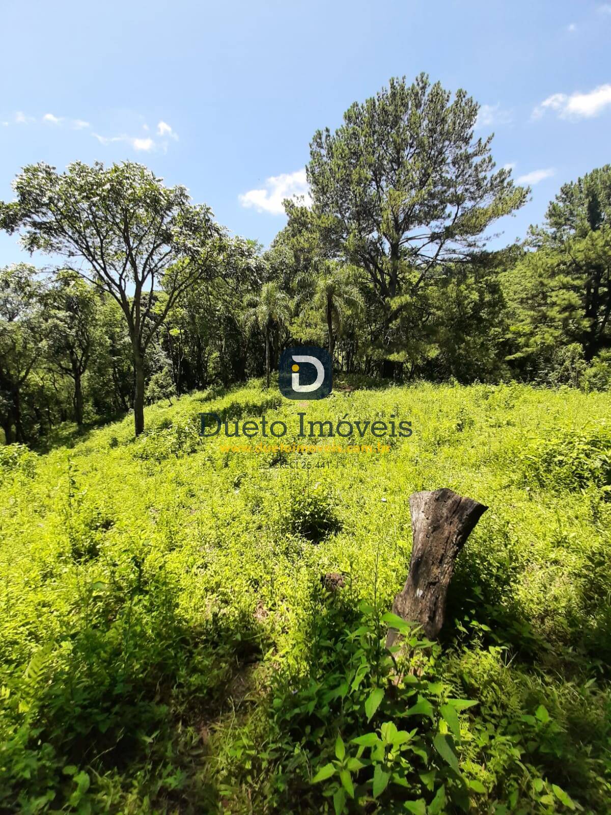 Área de 13 hectares em Itaara!!!